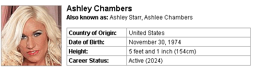 Pornstar Ashley Chambers